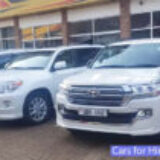 What is the Most Popular Car Brand Hired in Uganda